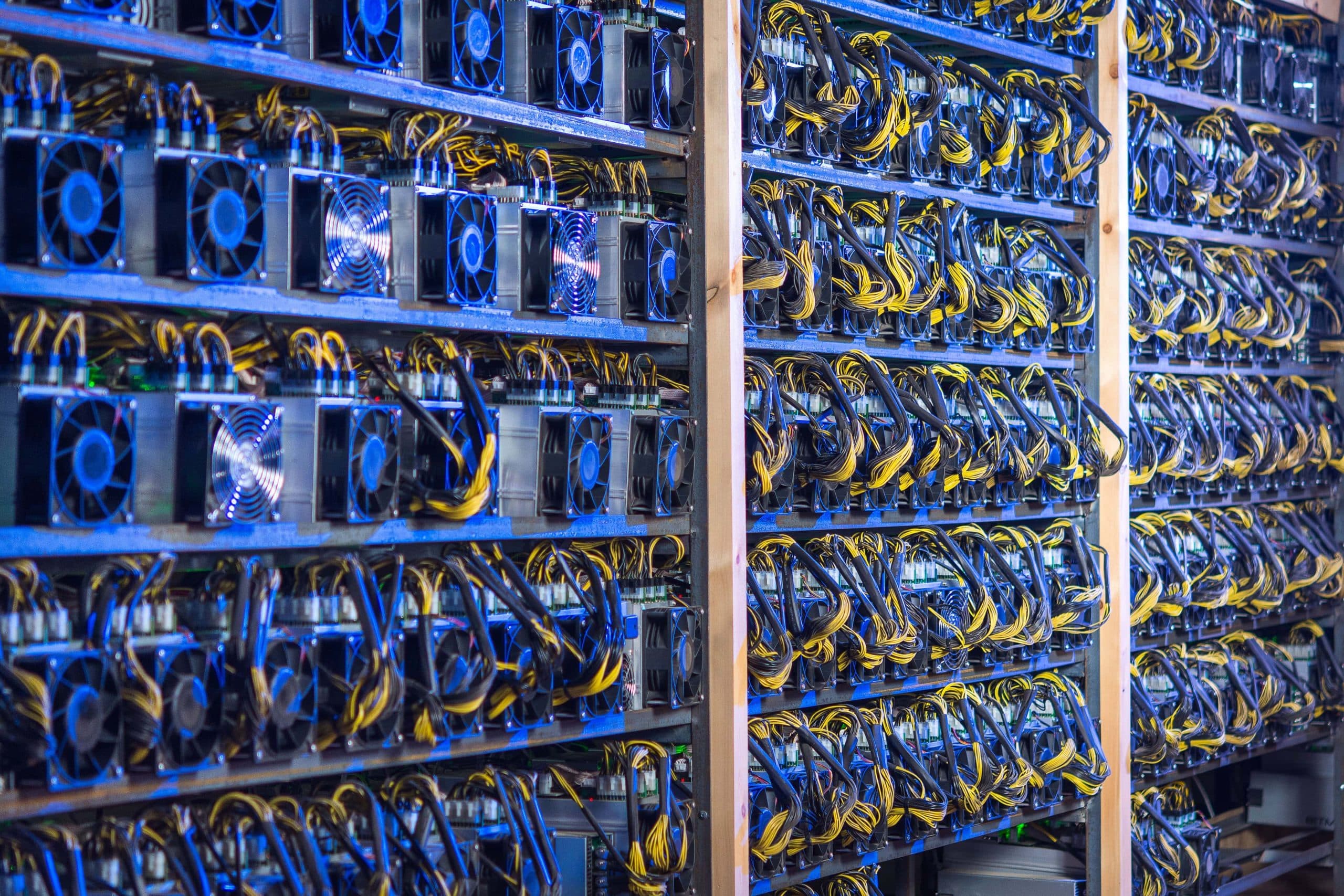 Reihen von Kryptowährungs-Mining-Rigs mit angeschlossenen Lüftern und gelben Kabeln, die auf Metallregalen in einem Rechenzentrum untergebracht sind, verarbeiten effizient Altcoins.