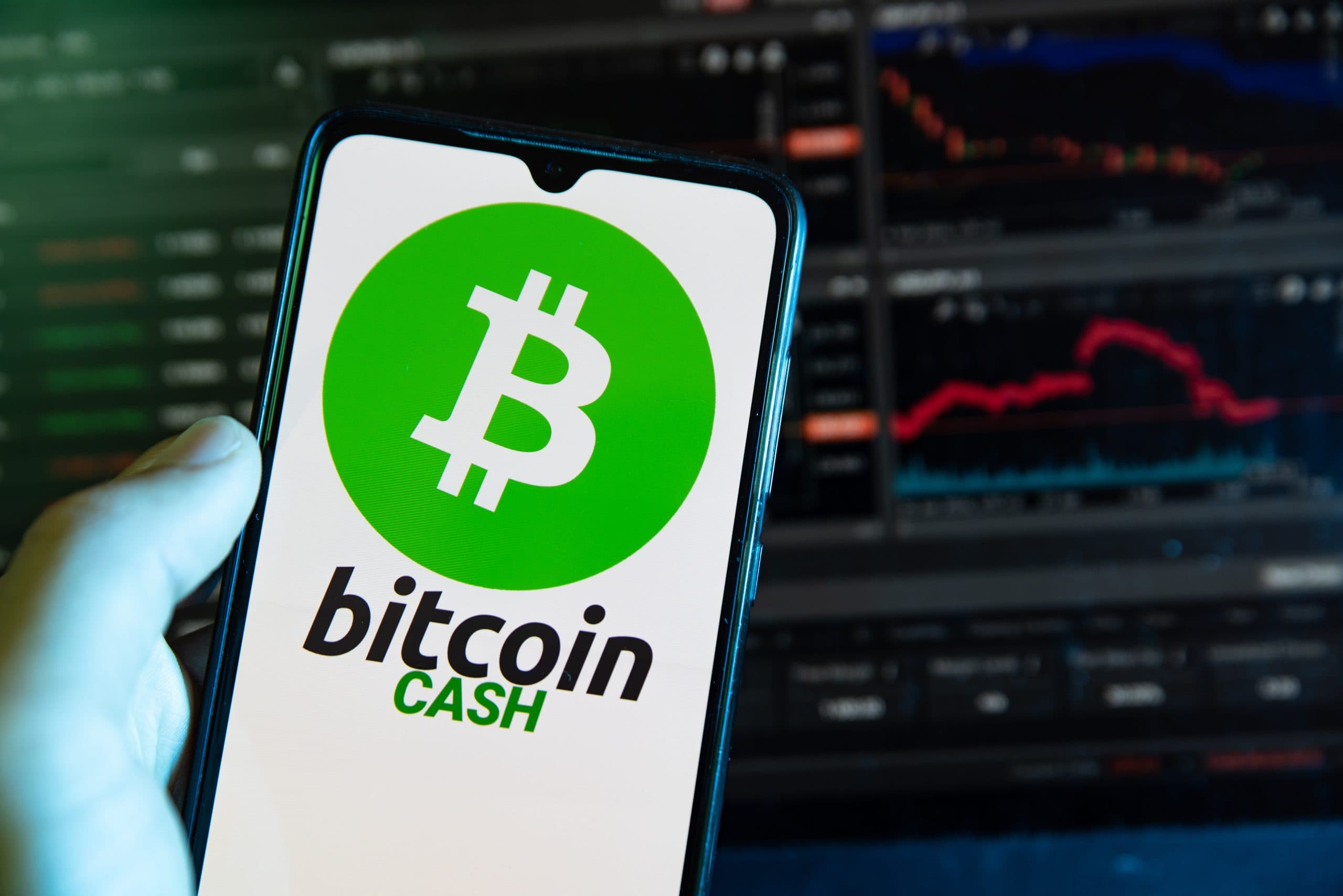 Eine Hand hält ein Smartphone mit einem Logo von Bitcoin Cash